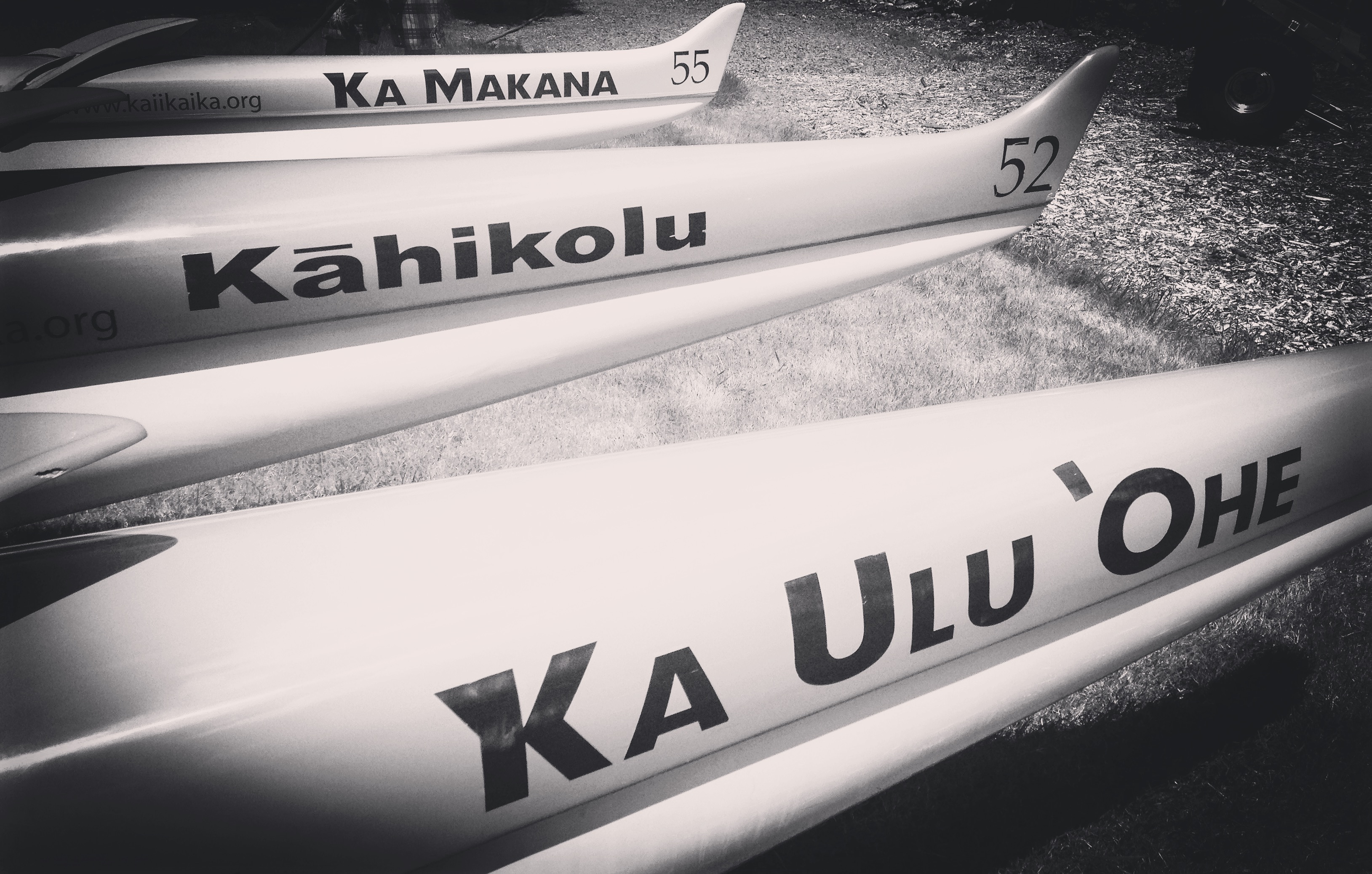 PADDLING SPORTS - CANOE, KAYAK, SURFSKI, OUTRIGGER, DRAGON BOATING